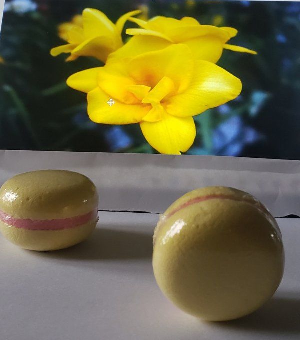 Macarons effervescents